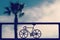 Silhouette of a fixed-gear bicycle with a palm tree in a blurred background