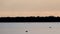 Silhouette of a flamingo landing as others wade in Salt Water Lake of Larnaca in Cyprus late in the afternoon.