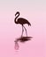 Silhouette of a flamingo in a pink sunset