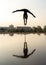 Silhouette of flexible acrobat doing handstand on the cityscape and sky background with reflection. Concept of