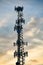 silhouette  of a flock of American black vultures on a tower in the sunset