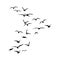 A silhouette of a flock of birds taking flight. The concept of freedom. vector illustration