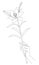 Silhouette of a flower in the hand of a man. Lily on stem and leaves in modern trendy style with one line. Solid line, outline for
