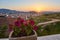 Silhouette of flower potted plant hang outdoor against fiery sunset blur nature