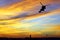 Silhouette of a flying helicopter against the bright evening sky