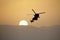 Silhouette of a flying helicopter against the setting sun