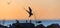 The silhouette of a flying tern against the red sunset sky.