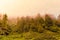 Silhouette of  forested himalayas mountain slope with the evergreen conifers shrouded in misty landscape view from prashar lake