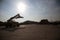 Silhouette of Forklift trucks container handlers.