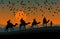 Silhouette of four camel riders. Up hill with sunset background