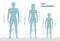 A silhouette of a full-length man, woman and boy with measurement lines of body parameters, male and female measurements, and