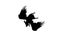 Silhouette funny piggy with wings flying, pig pattern, black and white vector illustration