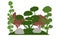 Silhouette of  garden with decorative trees. Beautiful bonsai, cypress and other coniferous trees. Vector illustration