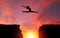 Silhouette of Girl Leaping Over Cliffs With Sunset Landscape