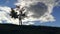 Silhouette of a girl near a tree against a background of a huge sky.