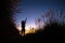 Silhouette of girl posing and stretching around vibrant natural background