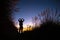 Silhouette of girl posing and stretching in vibrant natural background