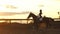 Silhouette of a girl riding a horse at sunset