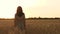 Silhouette of a girl walking among ripe wheat in a field at sunset. Freedom, inspiration.