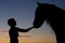 Silhouette girls and horses