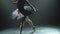 Silhouette of a graceful ballerina in a chic image of a black swan. Classic ballet pas. Shot in a dark studio with smoke