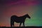 Silhouette of a graceful horse against the colorful sunset sky