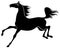 Silhouette of graceful horse galloping