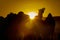 Silhouette of A Group of camel in Pushkar Trade fair India