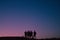 Silhouette of a group of five friends standing in front a pink sunset