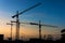 Silhouette of group of tower cranes in workplace