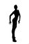 Silhouette of gymnasts