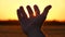 Silhouette of a hand at sunset. Male hand close-up in the sun