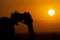 Silhouette of hands holding a mobile phone and making photography of the huge sun during sunset or sunrise