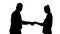 Silhouette Handshake of business woman and business man posing for the picture.