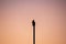 Silhouette of hawk sitting on top of mast of sailboat during sunset