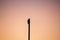 Silhouette of hawk sitting on top of mast of sailboat during sunset