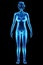 Silhouette, hologram of a female body in blue isolated on a black background. Medical examination, ultrasound, women`s