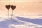 Silhouette of homemade hearts in nature during calm winter sunset - original background for valentines day postcard