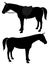 Silhouette of a horse in harness and without vector