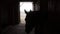 Silhouette Of Horse Looking Out From The Window Of The Stall - Horse Stable