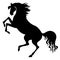 Silhouette of horse reared