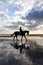 Silhouette of a Horse Rider Walking on Beach