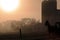 Silhouette of horse and silos at sunrise