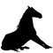 Silhouette of horse sitting