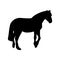 Silhouette of the horse. Template. Vector