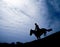 Silhouette of a horseman