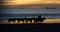 Silhouette of horses being led by cowboys on a beach at sunset with tanker ships in the background