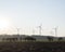 Silhouette of horses and wind turbines in german landscape of lower saxony