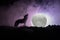 Silhouette of howling wolf against dark toned foggy background and full moon or Wolf in silhouette howling to the full moon. Hallo