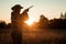 Silhouette of a hunter in a cowboy hat with a gun in his hands on a background of a beautiful sunset. The hunting period, the fall